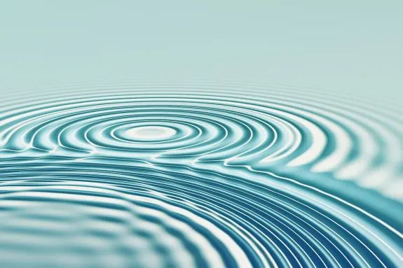 BetBeard Casino Support